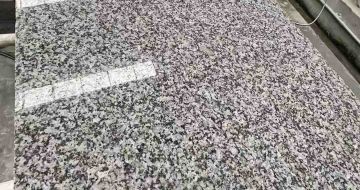 新余 芙蓉白光面