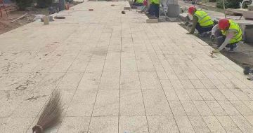 新余黄金麻荔枝面地铺案例