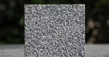 新余 芝麻黑荔枝面