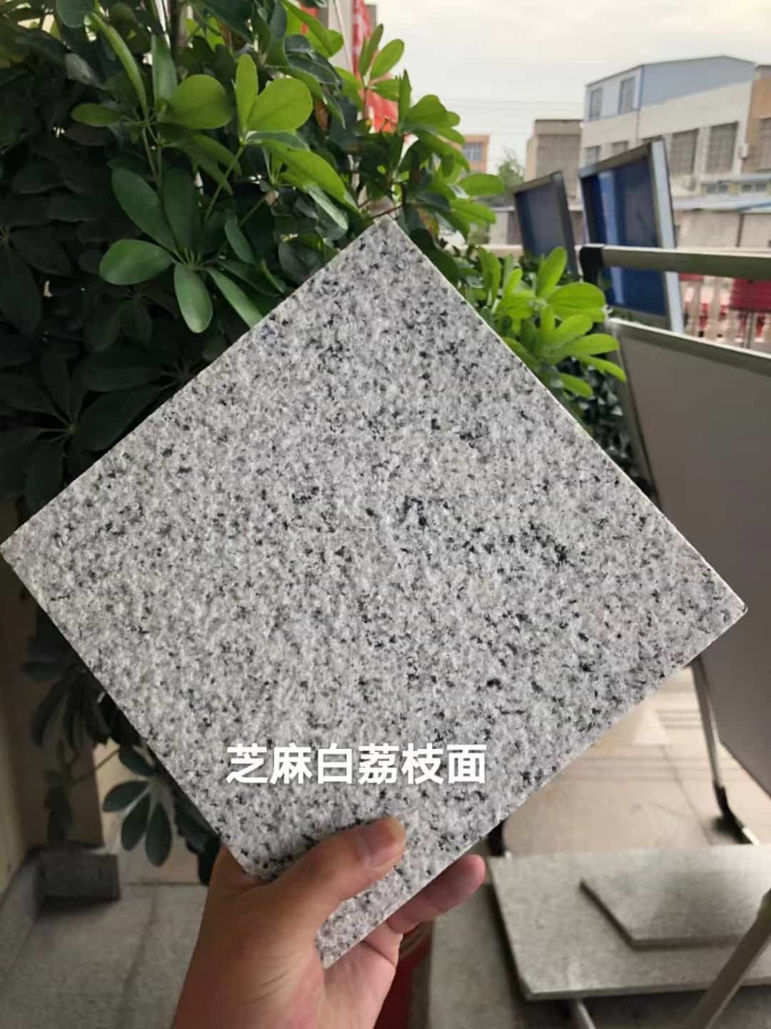 新余 芝麻白荔枝面干挂