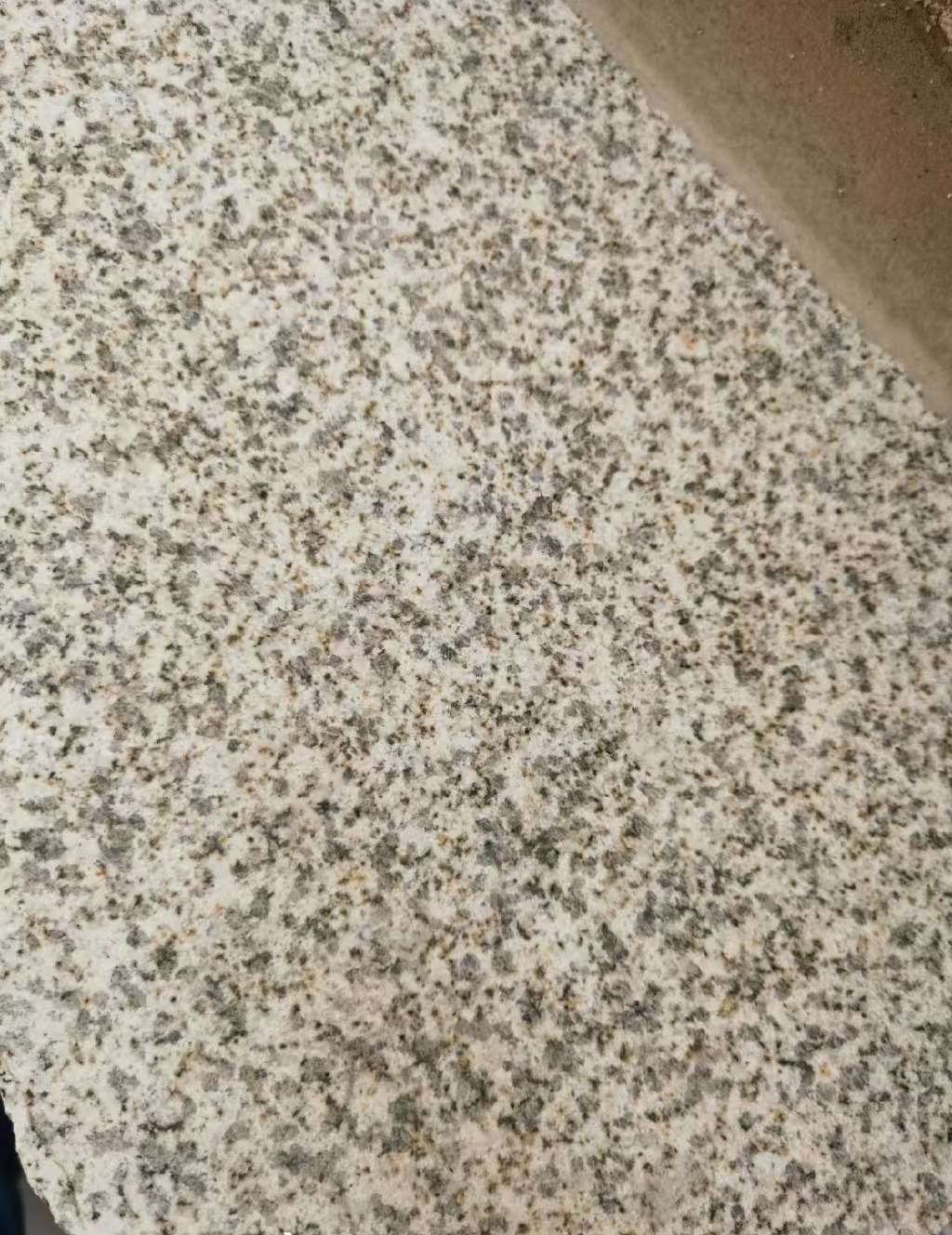 新余 黄金麻中黄光面